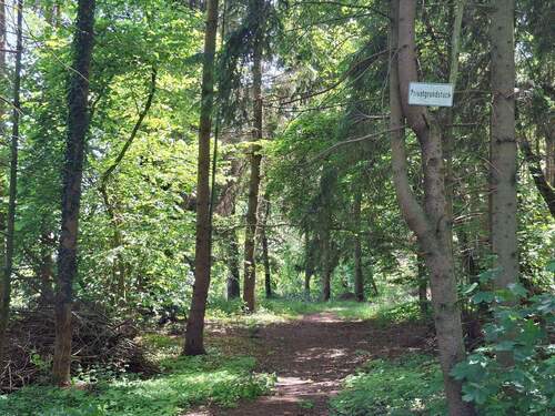 Hauptweg - Grundstück in Harsefeld