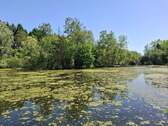Blick in Richtung Insel - 