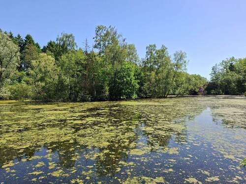 Blick in Richtung Insel - 