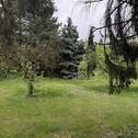 Platz - 