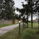 Straße - 