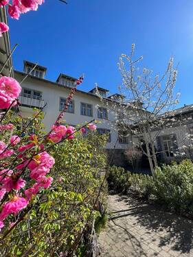 Wunderlichstr. 16 DD/ Weißer Hirsch - Traumhafte Lage am Weißen Hirsch !! 2-Raum Wohnung