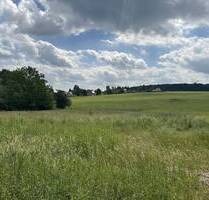 Hier wollen wir bauen! - 115.000,00&nbsp;EUR Kaufpreis, ca.&nbsp; 0,00&nbsp;m&sup2; in Reichenbach (PLZ: 08468)
