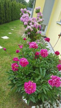 Bild 10 - 