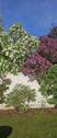 Bild 6 - 