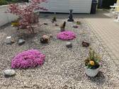 Bild 9 - 