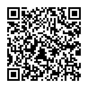 QR-Code - 