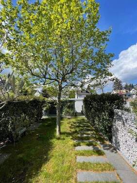 mediterranes Gartenflair - 