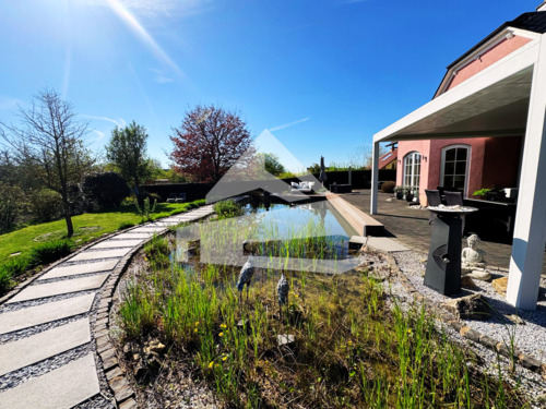 Garten Schwimmteich.png - Einfamilienhaus mit 208,00 m² in Mandern zum Kaufen