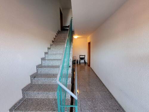 20260305_144901.jpg - 