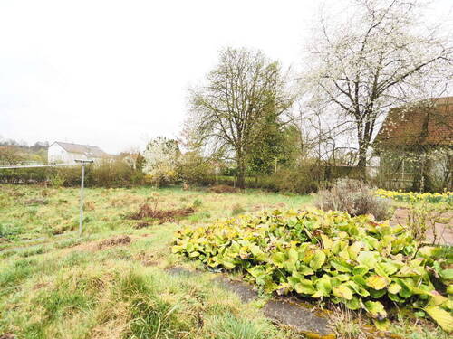 Garten - 