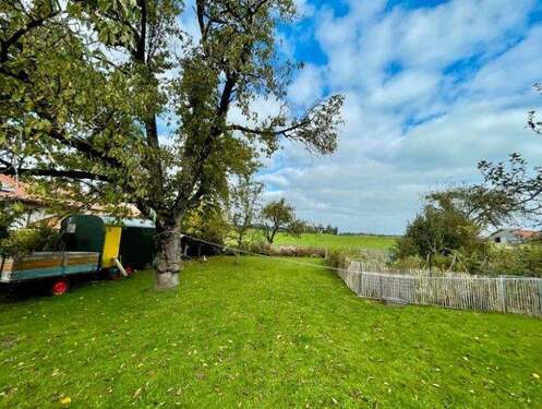 Grundstück Bild 2.jpg - Grundstück zum Kaufen in Höslwang