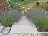 Gartentreppe - 