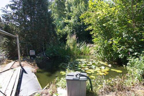 Garten Bild 2 - 