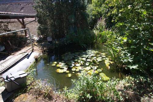 Teich und Gartenbereich - 