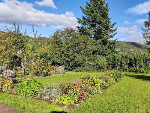 Blick in den Garten - 