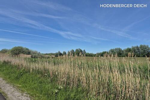 Hodenberger Deich - 
