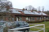 gummanz04.JPG - 