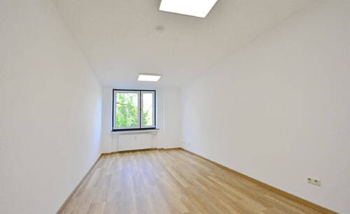 Bild19 - 