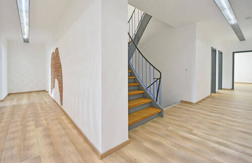Bild7 - 