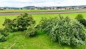Blick nach Westen - 