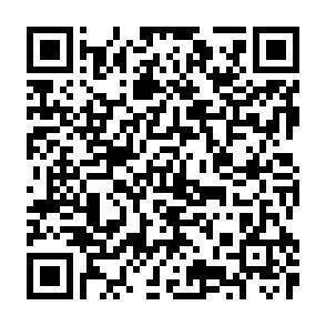 QR-Code - 