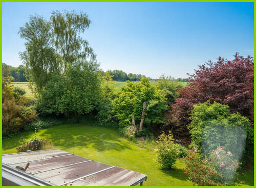Ausblick - 