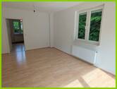 Wohn-Esszimmer - 