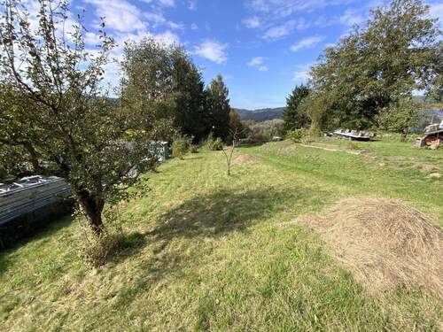 Blick in den Garten - 5 Zimmer Doppelhaushälfte in Zella-Mehlis