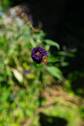 Gartenansicht - 