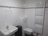 Hänge WC und Handtuchheizkörpe - 