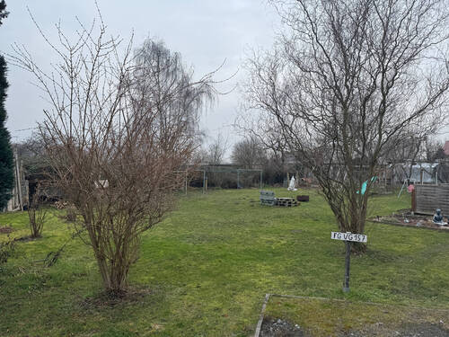 Garten - 2 Zimmer Etagenwohnung in Leisnig