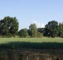 Neue Baugrundstücke in der Waldparksiedlung Gallinchen - Cottbus