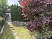 Blick in den Garten - 