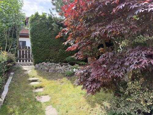Blick in den Garten - 