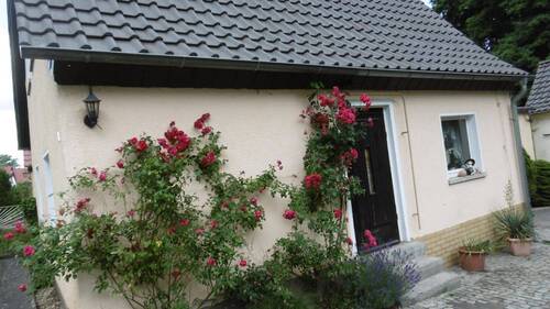 Seitenansicht - 