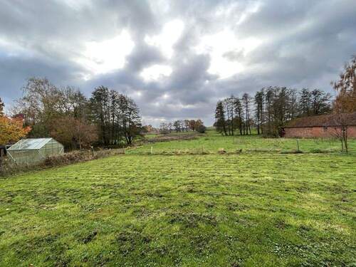 Ansicht hinten / Garten - 