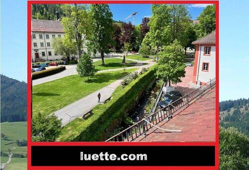 Blick auf Kurpark - Willkommen in Ihrer neu renovierten 4-Zi-ETW Am Kurpark, Dom, in denkmalgeschütztem Gebäude, zentral gelegen, EBK T...