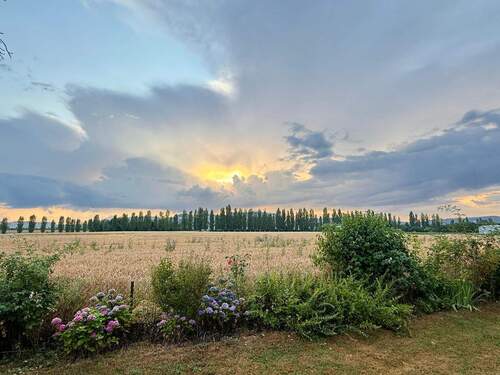 Ausblick - 