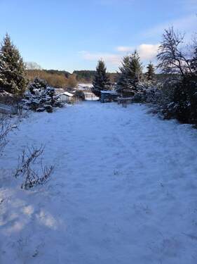 Wiesse im hinteren Teil - 