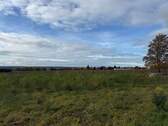 Bild 1 - Bauträgergebundenes Baugrundstück in Weinböhla ++ Ruhige Höhenlage - gemächlich an den Weinbergen