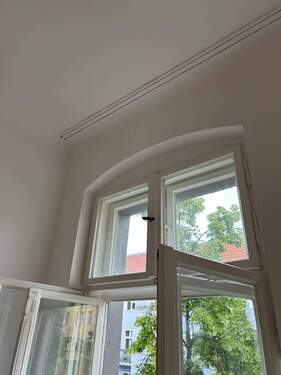 Fenster + Scharnieren - 