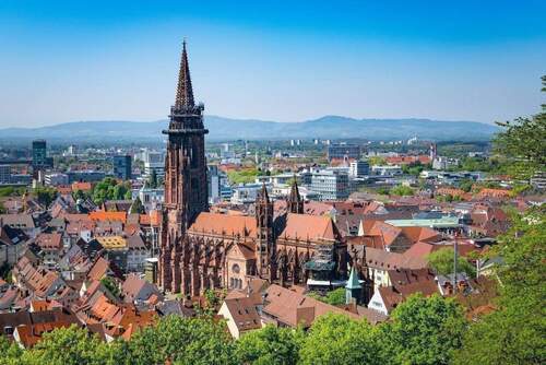 Freiburger Münster - 