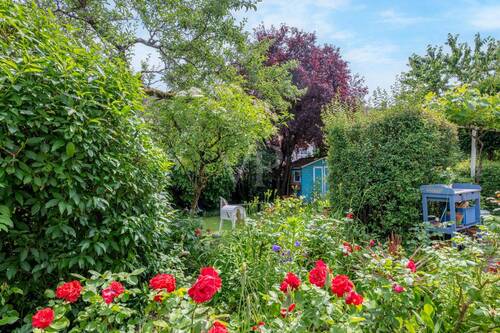 Garten - 