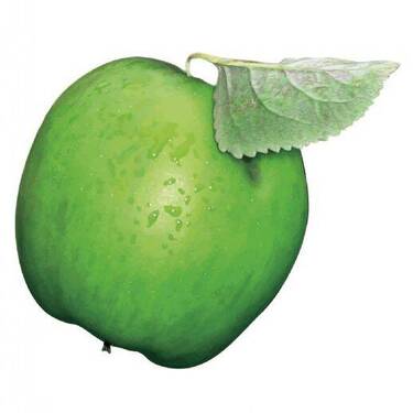 Bild 1 - Schicke neu renovierte 2- Zi Wohnung mit EBK und Stellplatz