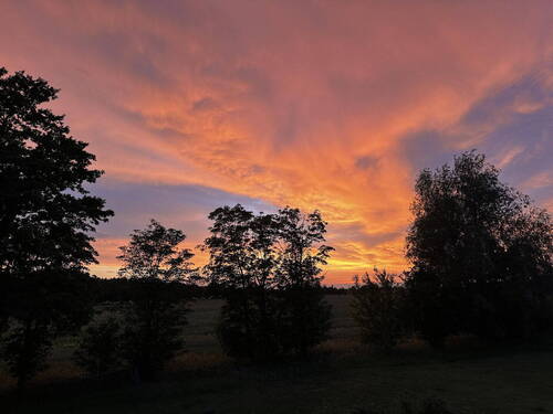 Original Abendstimmung - 