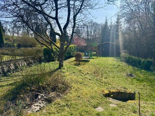 Blick in den Garten - 
