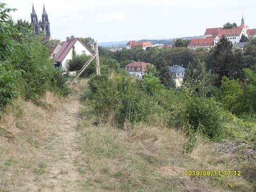 Künftiger Ausblick - Traumhaftes Baugrundstück für 1 bis 7 Einfamilienhäusern!