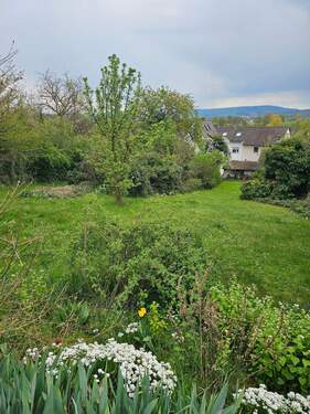 Bild6.jpg - Grundstück in Forchheim zum Kaufen