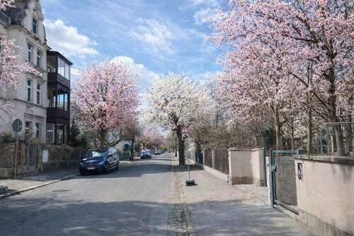 Blick in die ruhige Straße - Etagenwohnung mit 124,60 m&sup2; in Dresden zum Kaufen